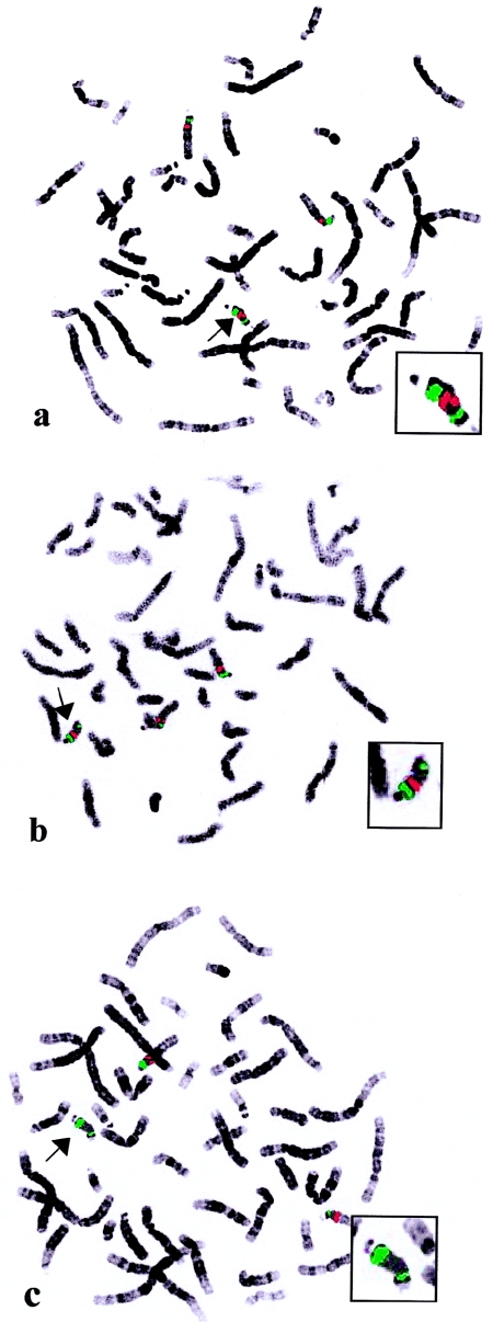 Figure  3