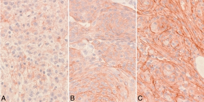 Fig. 2.