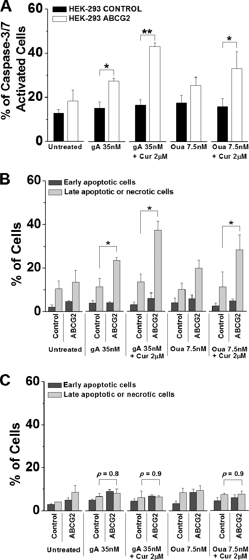 FIGURE 10.