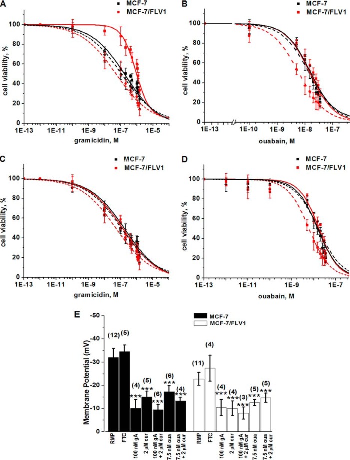 FIGURE 11.