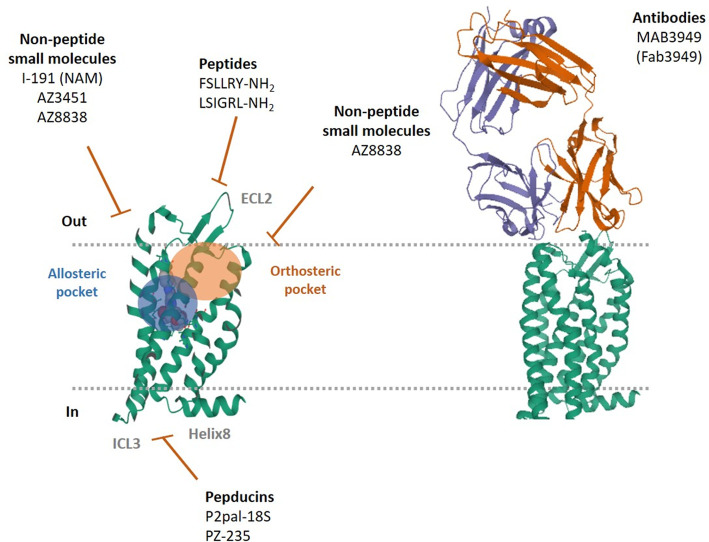 Figure 1.