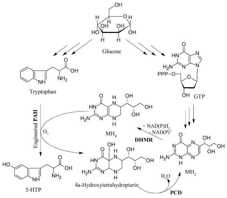 Figure 7