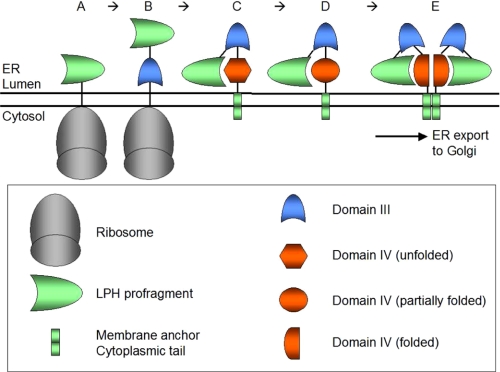 FIGURE 10.