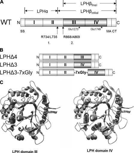 FIGURE 1.