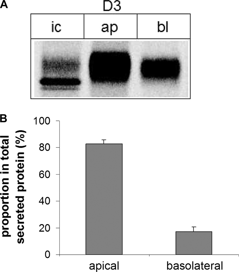 FIGURE 9.