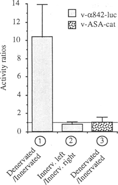 graphic file with name pnas01126-0121-a.jpg