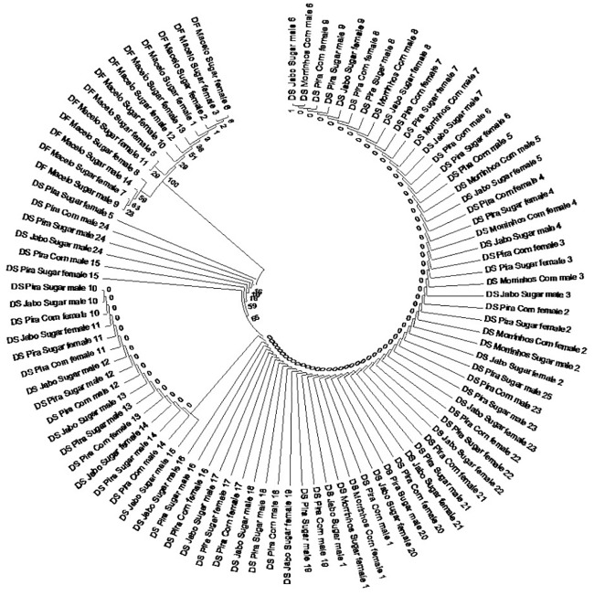 Fig 5