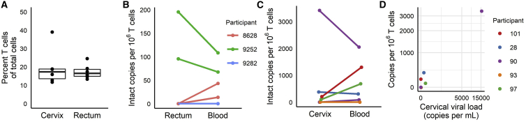 Figure 6