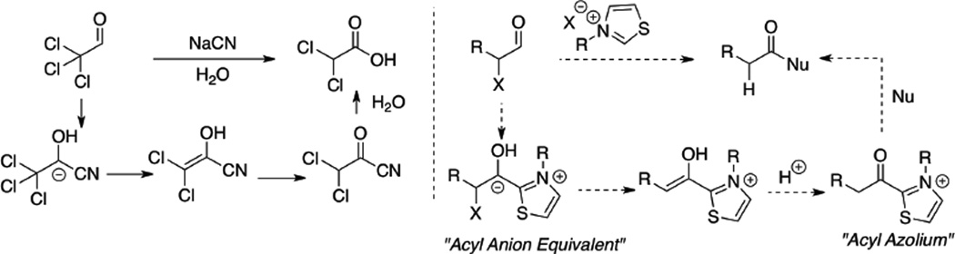 Scheme 3