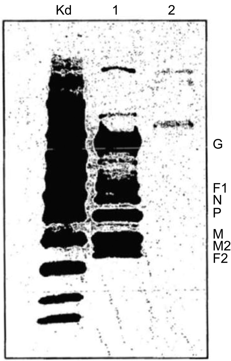 Fig. (4)