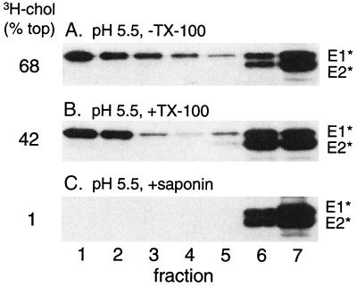 FIG. 5.