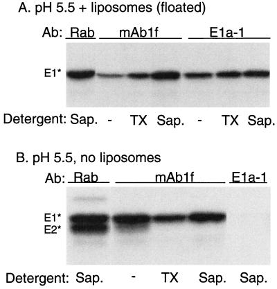 FIG. 8.