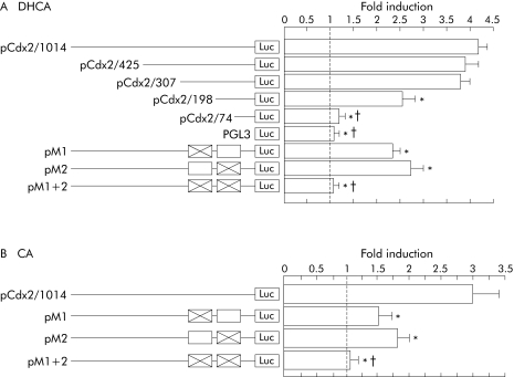 graphic file with name gt66209.f5.jpg
