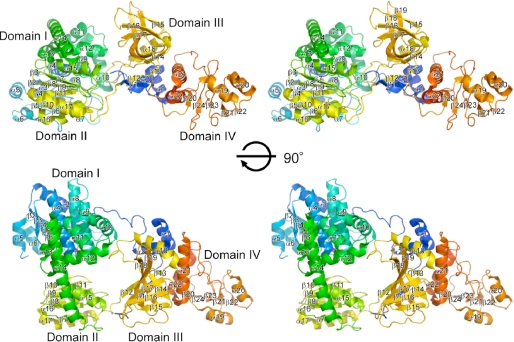 FIGURE 1.