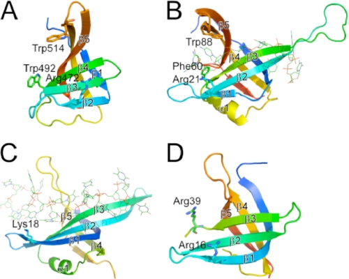 FIGURE 2.