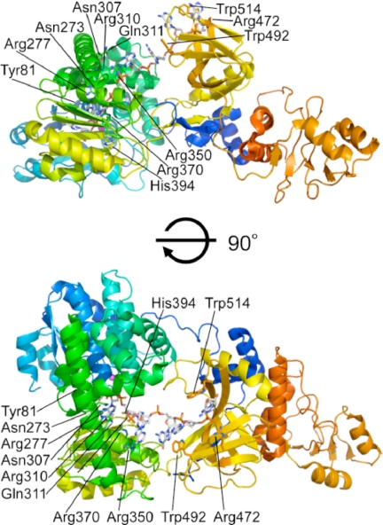 FIGURE 5.