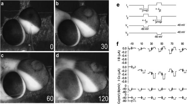 Fig. 7