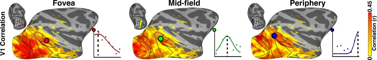 Figure 7—figure supplement 1.