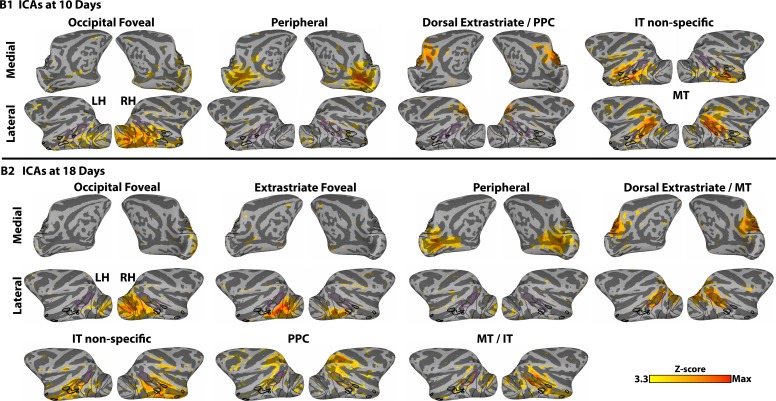 Figure 1—figure supplement 2.