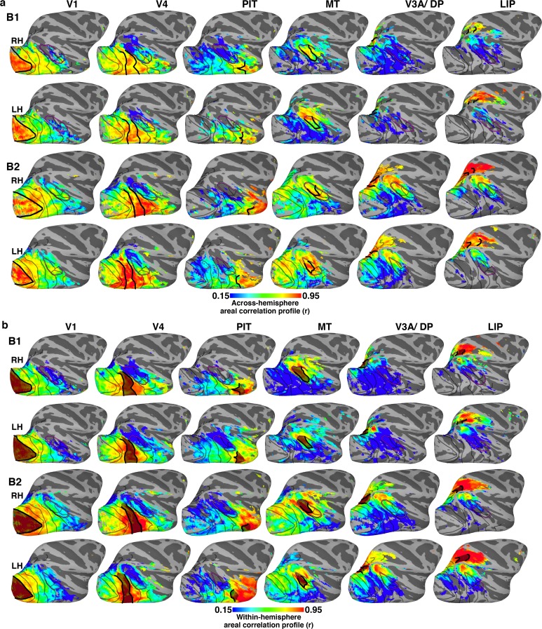 Figure 4—figure supplement 1.