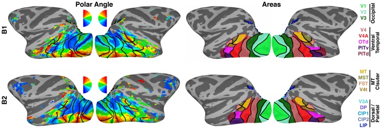 Figure 1—figure supplement 1.