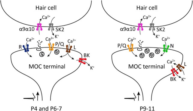 Figure 12.