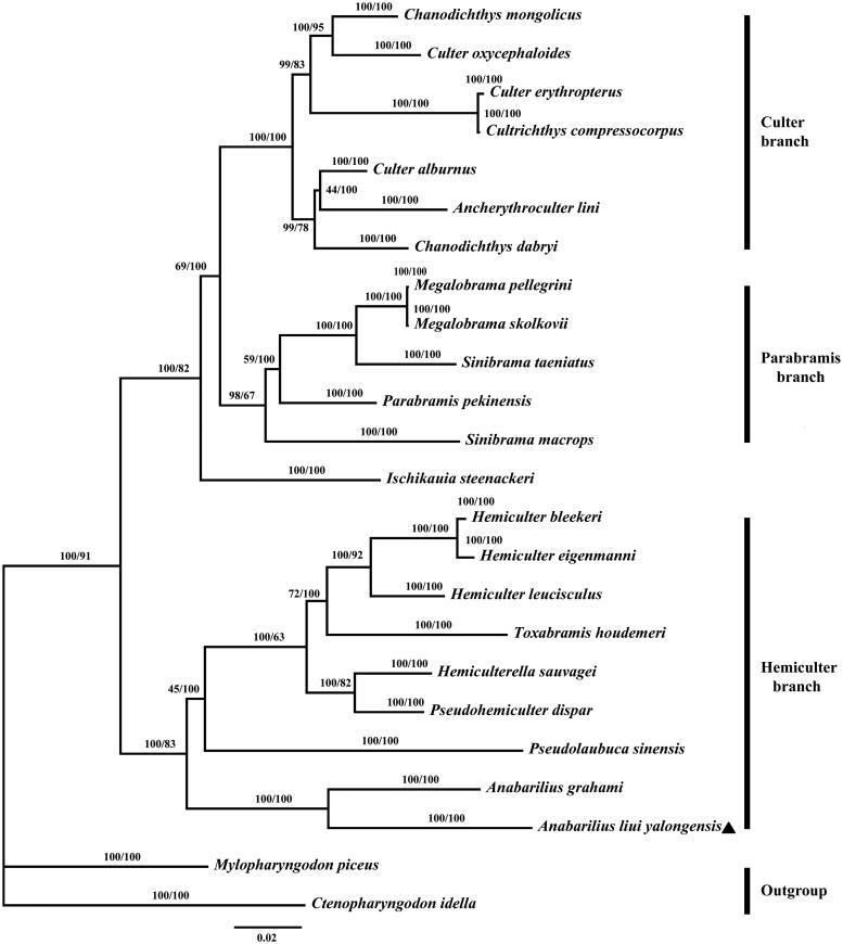 Figure 1.