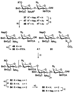 Scheme 6