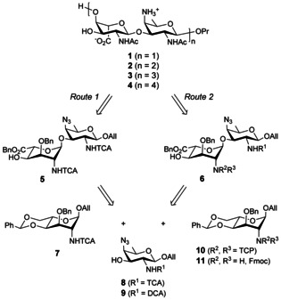 Scheme 1