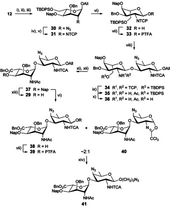 Scheme 4