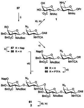 Scheme 7