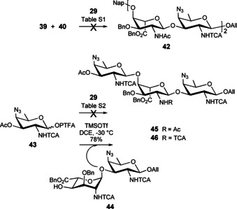 Scheme 5