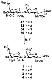 Scheme 9