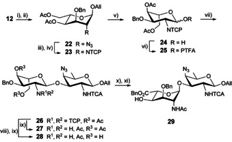 Scheme 3