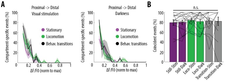 Figure 5—figure supplement 1.