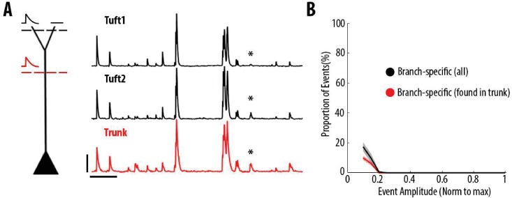 Figure 2—figure supplement 2.