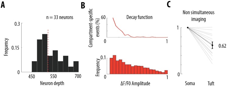 Figure 3—figure supplement 1.