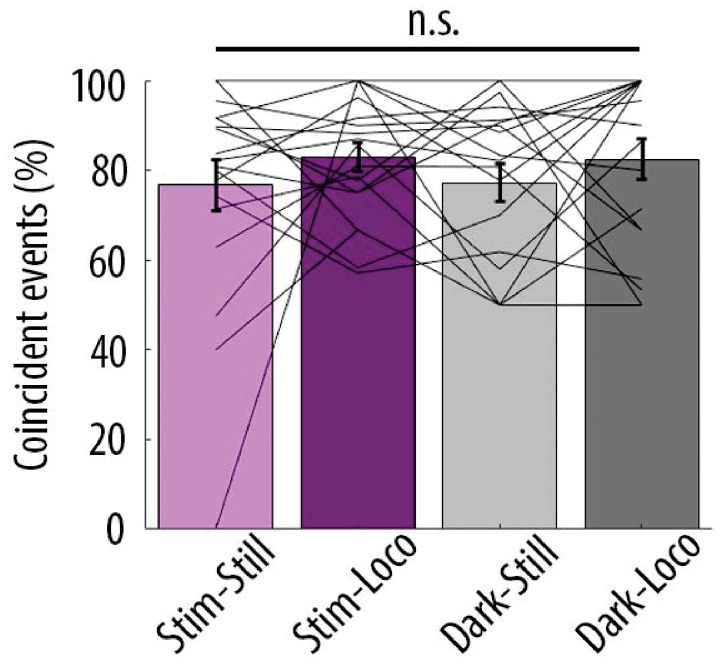 Figure 5—figure supplement 2.