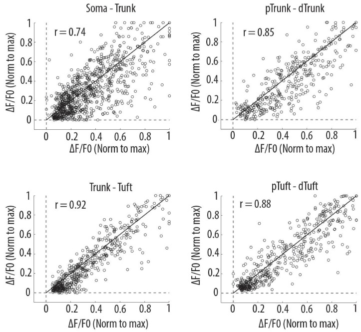 Figure 2—figure supplement 1.