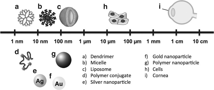 FIG. 1.