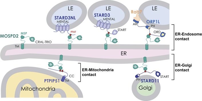 Figure 10