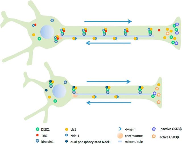 Figure 11.