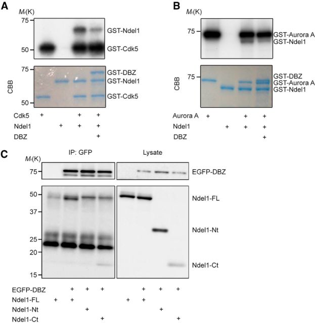 Figure 6.