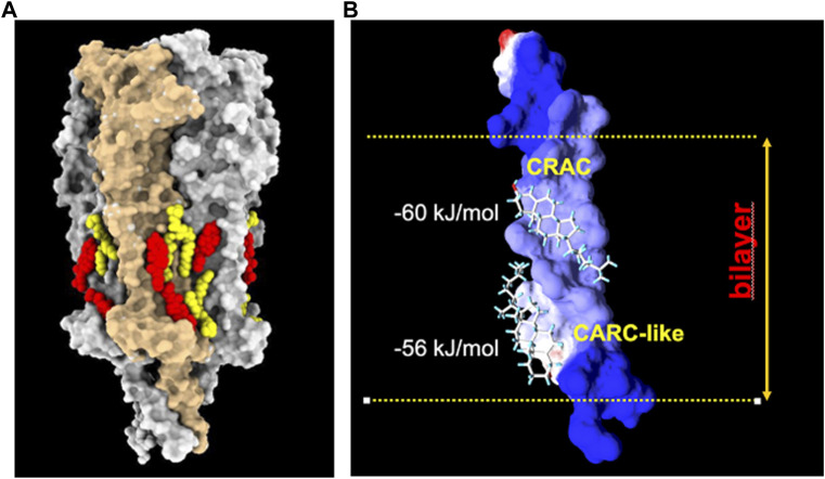 FIGURE 4