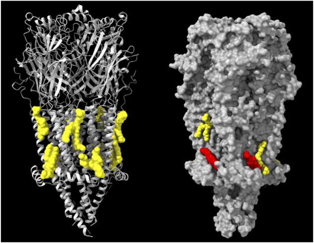 FIGURE 3