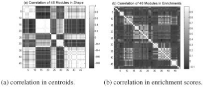 Fig. 8.