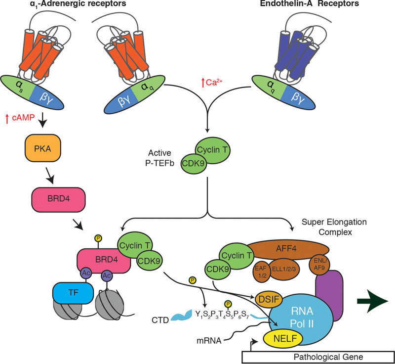 FIG 10