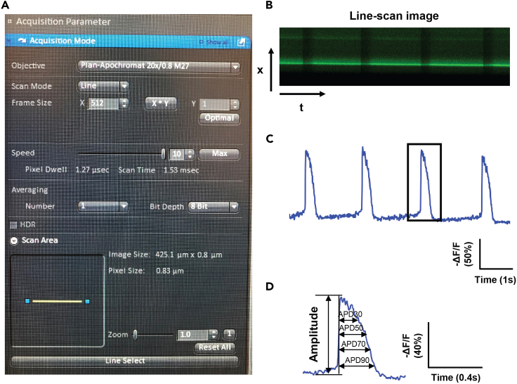 Figure 5