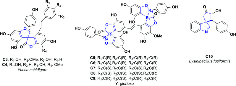 Fig. 3