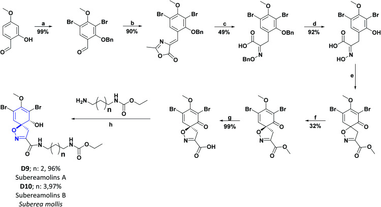 Scheme 23